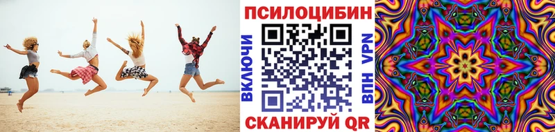 купить наркотик  Завитинск  Псилоцибиновые грибы ЛСД 