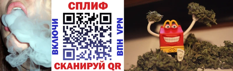 Конопля сатива  Завитинск 